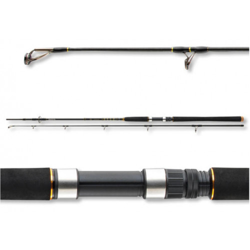 Въдица за морски риболов Daiwa BG OFFSHORE 20 /40-125gr_Daiwa