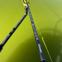 Фидер въдица - DRENNAN Acolyte Bait Up Rod 10ft_Drennan