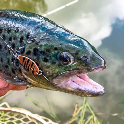 Клатушка - TROUT MASTER Incy Spoon 1.5g_Trout Master