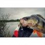 Силикон - FISHUP Real Craw 1.5 inch_FishUp