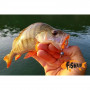 Силикон - FISHUP Baffi Fly 1.5 inch_FishUp