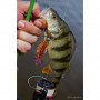 Силикон - FISHUP Real Craw 1.5 inch_FishUp