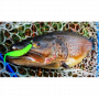 Силикон - FISHUP Tanta 2.5 inch_FishUp