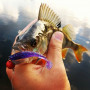 Силикон - FISHUP U-Shad 4 inch_FishUp