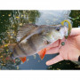 Силиконова примамка - FISHUP U-Shad 3.5 inch_FishUp