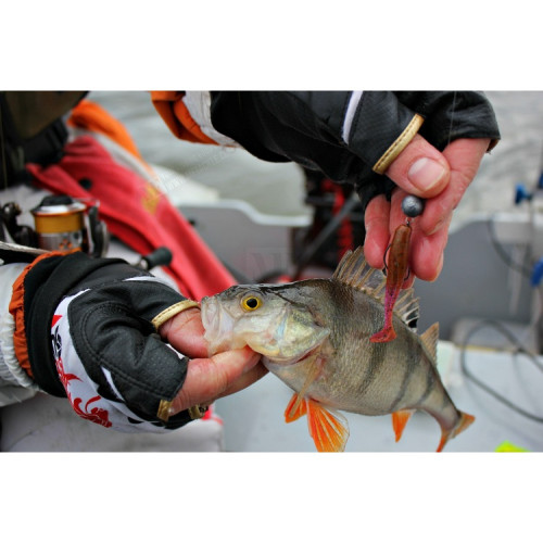 Силикон - FISHUP Wizzle Shad 1.4 inch_FishUp