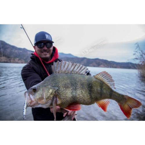 Воблер - DUO Spearhead Ryuki - 70S SW_DUO International