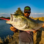 Воблер - JACK FIN Stylo 210mm 30gr F_Jack Fin