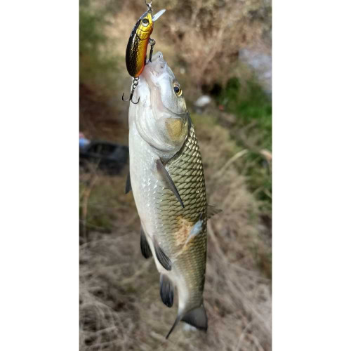Воблер - LAST CAST CC38 38mm 2.5g Floating_Last Cast