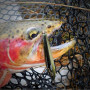 Воблер - JACKSON Trout Tune 55F 55mm 3g Floating_JACKSON