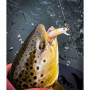 Воблер - JACKSON Trout Tune 55F 55mm 3g Floating_JACKSON