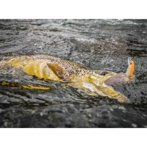 Воблер - JACKSON Trout Tune 55S 55mm 3.5g Sinking_JACKSON