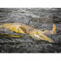 Воблер - JACKSON Trout Tune 55S 55mm 3.5g Sinking_JACKSON
