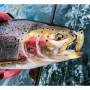 Воблер - JACKSON Trout Tune 55S 55mm 3.5g Sinking_JACKSON