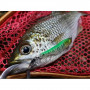 Воблер - JACKALL Spy Tail 70SS 70mm 4.3g_JACKALL