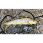 Воблер - JACKALL Tricoroll Ryushin KNOCKER 53 HW 5.3g 53mm Sinking_JACKALL