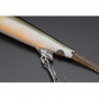 Воблер - JACKALL Nagisa 65SP 3.8g Suspending_JACKALL