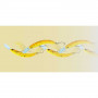 Воблер - JACKALL Pepino SR 56mm 2.2g Floating_JACKALL