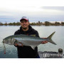 Воблер - DUO Realis PencilPopper 148 SW 148mm 40g Floating_Duo
