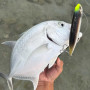 Воблер - DUO Realis Pencil 130 SW Limited 130mm 31.6g Floating_Duo