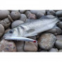 Воблер - DUO Tide Minnow Slim 175 - Floating_Duo