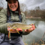 Воблер - SPRO IRIS The Kid 48 4.8cm 6.3g Fast Sinking_SPRO