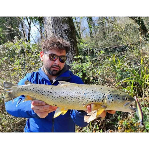 Воблер - SHIMANO Cardiff ML Bullet 93F AR-C 93mm 10g Floating_SHIMANO