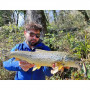 Воблер - SHIMANO Cardiff ML Bullet 93F AR-C 93mm 10g Floating_SHIMANO