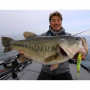Воблер - SHIMANO Bantam Armajoint 190SF FB 190mm 53g Slow Floating_SHIMANO