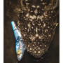 Воблер - SHIMANO Bantam Armajoint 190SF FB 190mm 53g Slow Floating_SHIMANO