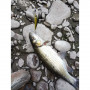 Воблер - ALEKSIEV HANDMADE Trout Killer - 4cm 1.7g Sinking_Aleksiev Handmade