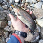 Воблер - ALEKSIEV HANDMADE Trout Killer - 4cm 1.7g Sinking_Aleksiev Handmade