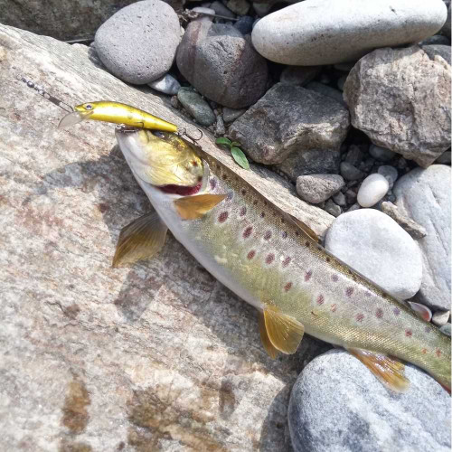 Воблер - ALEKSIEV HANDMADE Trout Killer - 4cm 1.7g Sinking_Aleksiev Handmade