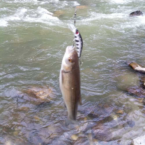 Воблер - ALEKSIEV HANDMADE Trout Killer - 4cm 1.7g Sinking_Aleksiev Handmade