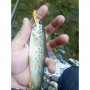 Воблер - ALEKSIEV HANDMADE Trout Killer - 4cm 1.7g Sinking_Aleksiev Handmade