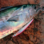 Воблер - SMITH Haluca 165 F 165mm 30g Floating_Smith