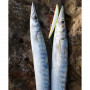 Воблер - SMITH Haluca 165 S 165mm 33g Sinking_Smith