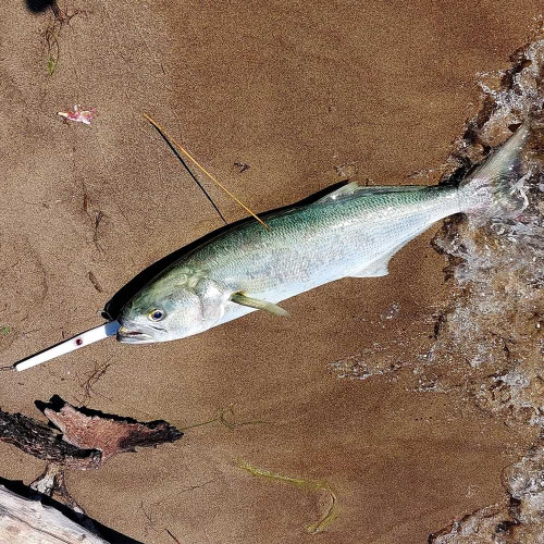Воблер - AS LURES Hydra 210 210mm 29g Floating_AS LURES