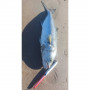 Воблер - AS LURES Hydra 210 210mm 29g Floating_AS LURES