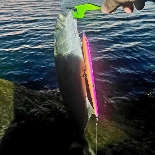 Воблер - AS LURES Hydra 210 210mm 29g Floating_AS LURES