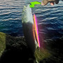 Воблер - AS LURES Hydra 210 210mm 29g Floating_AS LURES