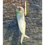 Воблер - AS LURES Hydra 210 210mm 29g Floating_AS LURES