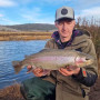 Воблер - DAIWA Masuno Kozakana 30mm 1.2g Floating_Daiwa