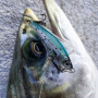 Воблер - SAVAGE GEAR Gravity Pencil 8cm 33g S_Savage Gear