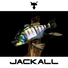 Воблер - JACKALL Gantarel 160mm 70g Floating