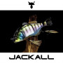 Воблер - JACKALL Gantarel 160mm 70g Floating_JACKALL
