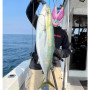 Волфрамов джиг - JACKALL Bambluz Jig TG SLJ 8cm 40g_JACKALL