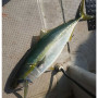 Волфрамов джиг - JACKALL Bambluz Jig TG SLJ 8cm 40g_JACKALL