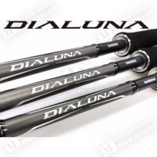 Спининг въдица


 - SHIMANO NEW Dialuna S100-MH 3.05m 10-56g