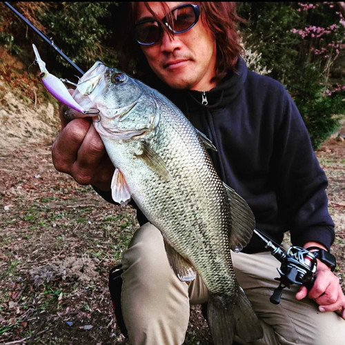 Воблер - JACKALL Soul Shad 62 DDR SP 6.8g_JACKALL